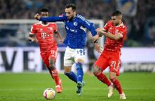 Nhận định, soi k&egrave;o Zurich vs Schalke, 19h00 ng&agrave;y 9/1: Phong độ tự tin