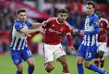 Soi k&egrave;o phạt g&oacute;c Brighton vs Nottingham, 21h00 ng&agrave;y 10/03