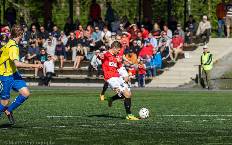 Nhận định, soi k&egrave;o JIPPO vs JaPS, 22h30 ng&agrave;y 10/7: Đ&ograve;n đau nhớ l&acirc;u