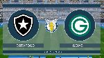 Nhận định b&oacute;ng đ&aacute; Botafogo vs Goias, 05h15 ng&agrave;y 10/10: Tiếp tục lao dốc