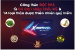 Hiệu quả bất ngờ của viên ngậm X-MARVEL trong hỗ trợ tăng cường sinh lý cho phái mạnh