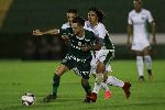 Nhận định bóng đá Palmeiras vs Guarani CA, 7h30 ngày 11/3