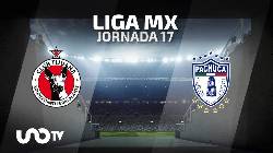 Nhận định, soi k&egrave;o Club Tijuana vs Pachuca, 10h00 ng&agrave;y 11/11