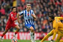 Nhận định, soi k&egrave;o Brighton vs Liverpool, 22h ng&agrave;y 14/1