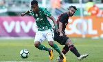 Nhận định Palmeiras vs Avai, 06h00 14/6 (VĐQG Brazil)