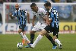 Nhận định Gremio vs Botafogo, 5h15 ngày 15/10