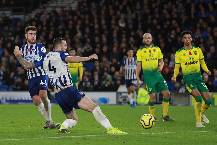 Nhận định, soi kèo Norwich vs Brighton, 21h ngày 16/10