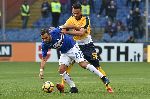 Nhận định Hellas Verona vs Sampdoria, 2h45 ng&agrave;y 17/12