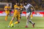 Nhận định Santos Laguna vs Tigres UANL, 7h45 ngày 17/2