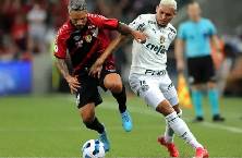 Nhận định, soi kèo Paranaense vs Palmeiras, 5h30 ngày 18/10: Vấn vương nơi khác