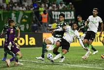 Nhận định, soi kèo America MG vs Ceara, 5h00 ngày 18/7: Gian nan trụ hạng