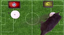 Mèo tiên tri dự đoán Dortmund vs Bayern Munich, 1h30 ngày 18/8