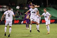 Soi k&egrave;o phạt g&oacute;c Macarthur vs Newcastle Jets, 12h05 ng&agrave;y 19/12