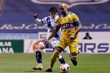Nhận định, soi k&egrave;o Tigres UANL vs Puebla, 09h05 ng&agrave;y 21/4