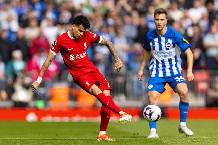 Chuyên gia Tony Ansell dự đoán Brighton vs Liverpool, 02h00 ngày 20/5