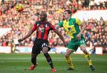Nhận định bóng đá Bournemouth vs Norwich, 21h00 ngày 19/10: Hoàng yến gãy cánh
