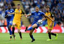 Đại bàng tiên tri dự đoán Leicester vs Brighton, 21h ngày 23/1