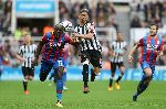 Nhận định Crystal Palace vs Newcastle United, 22h00 ng&agrave;y 22/2