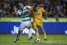 Nhận định, soi kèo Santos Laguna vs Tigres UANL, 8h00 ngày 21/7: Cắt mạch toàn thua