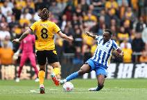 Nhận định, soi k&egrave;o Brighton vs Wolves, 2h45 ng&agrave;y 23/1