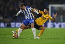Soi k&egrave;o phạt g&oacute;c Brighton vs Wolves, 2h45 ng&agrave;y 23/1