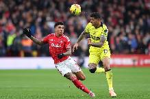 Nhận định, soi kèo Tottenham vs Nottingham, 21h15 ngày 22/3: Gà trống trở lại