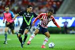 Ph&acirc;n t&iacute;ch tỷ lệ Guadalajara Chivas vs Veracruz, 10h ng&agrave;y 24/11