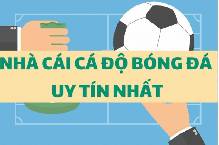 C&aacute;ch nhận diện nh&agrave; c&aacute;i C&aacute; độ uy t&iacute;n