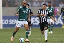 Nhận định Atlético Mineiro vs Palmeiras, 7h30 ngày 26/2