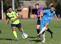 Nhận định, soi kèo Preston Lions vs Werribee City FC, 17h30 ngày 26/5