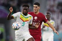 Dự đo&aacute;n, soi k&egrave;o thẻ v&agrave;ng Ecuador vs Senegal, 22h ng&agrave;y 29/11