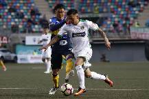 Nhận định, soi kèo Audax Italiano vs Everton, 6h ngày 28/7