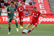 Soi kèo phạt góc Melbourne City vs Adelaide, 11h ngày 29/1