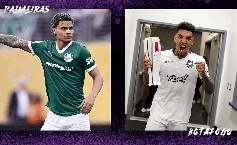 Link xem trực tiếp Palmeiras vs Botafogo hôm nay, 23h00 ngày 28/6