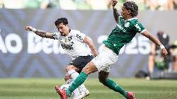 Siêu máy tính dự đoán Palmeiras vs Botafogo, 23h00 ngày 28/6