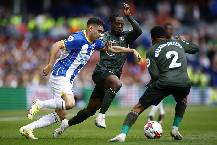 Nhận định, soi k&egrave;o Brighton vs Southampton, 3h00 ng&agrave;y 30/11: Cơ hội v&agrave;o Top 4