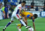 Nhận định Tigres UANL vs Pachuca, 7h00 ngày 2/8