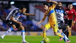 Nhận định, soi kèo Queretaro vs Tigres, 06h00 ngày 2/8: Khách tiếp tục rơi điểm