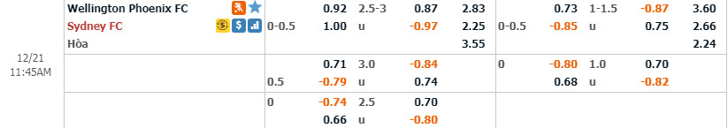 Phân tích tỷ lệ Wellington Phoenix vs Sydney, 10h45 ngày 21/12