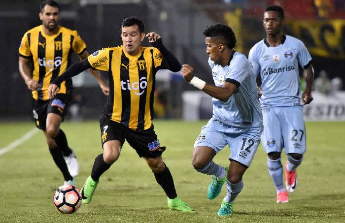 Gremio vs Club Guarani, 7h30 ngày 4/12: Tiếp bài vùi dập