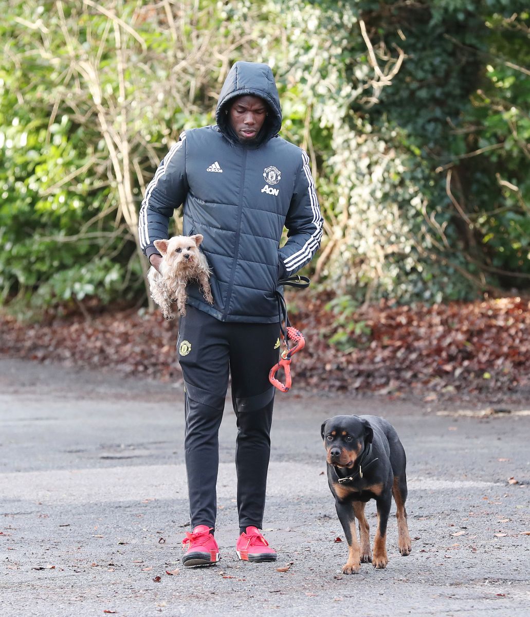 Học Pogba, Hugo Lloris bạo chi mua chó bảo vệ gia đình